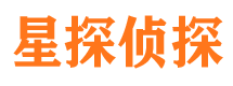 保山市调查公司